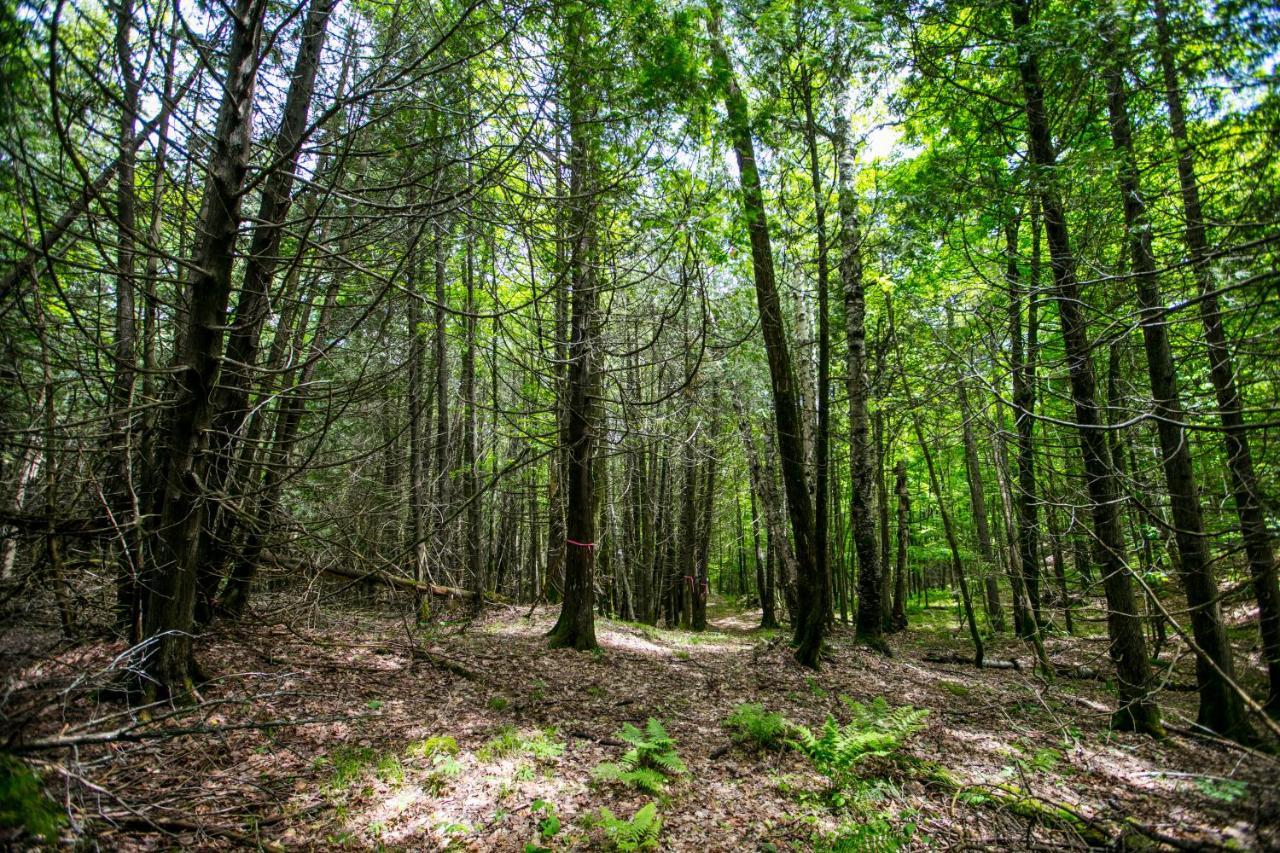Вілла Domaine La Cedriere Grenville-Sur-La-Rouge Екстер'єр фото
