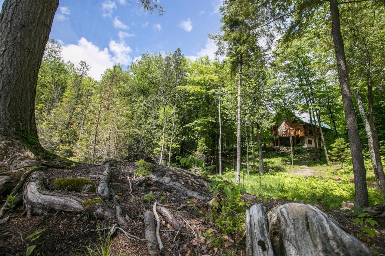 Вілла Domaine La Cedriere Grenville-Sur-La-Rouge Екстер'єр фото